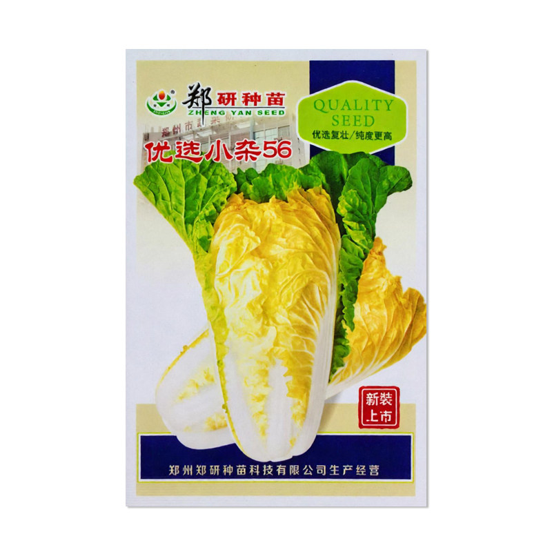 郑研优选小杂56大白菜种子