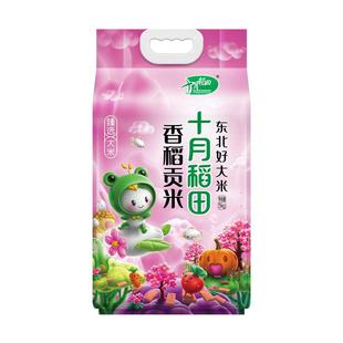 十月稻田香稻贡米5kg10斤装东北米粒圆润软糯香甜粳米香米旗舰店