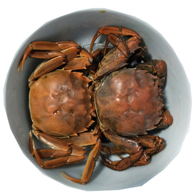 鲜活公母小螃蟹大闸蟹螃蟹海鲜
