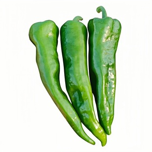 本地土辣椒苗带土秧苗特辣老品种湖南湖北四川农村乡下农家蔬菜苗