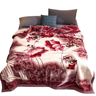 双层拉舍尔毛毯冬季加厚12斤被子双人珊瑚绒午睡沙发毯子加绒床单