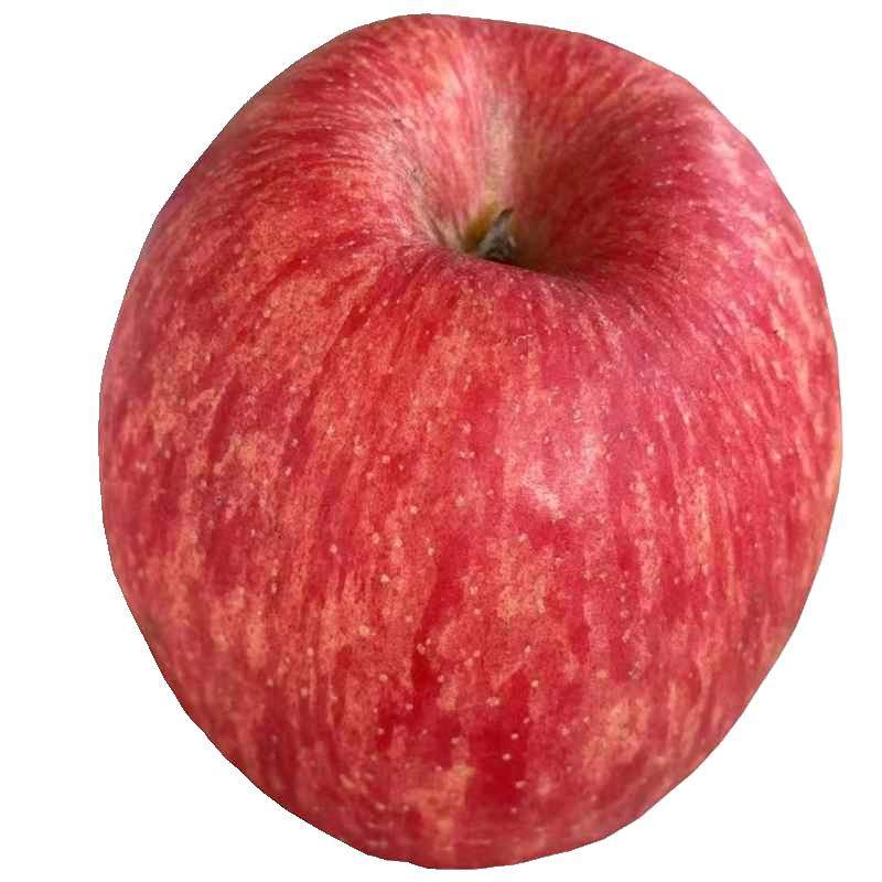 正宗陕西洛川苹果10斤新鲜水果整箱红富士当季冰糖心脆甜包邮应季