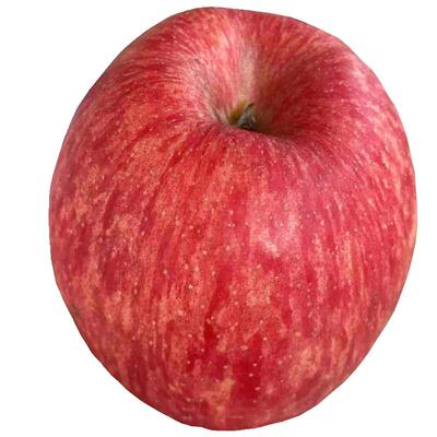 【5A商品】正宗洛川苹果优惠10元