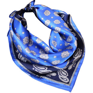 直播专用图真丝围巾女桑蚕丝长款丝巾春秋百搭中年妈妈款方巾纱巾