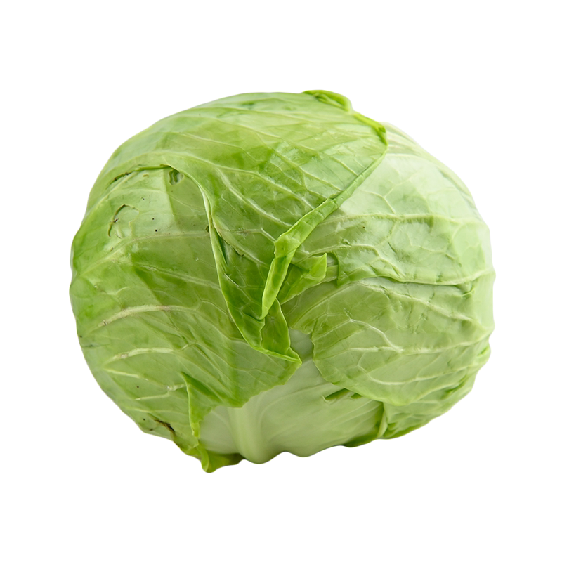 精科有机卷心菜新鲜绿甘蓝圆白菜叶菜类