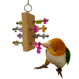 鹦鹉玩具趣味啃咬板中小型鸟益智娱乐解压解闷开发智力娱乐笼用品