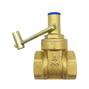 埃美柯166带锁黄铜闸阀防盗钥匙自来水表前阀门开关锁闭阀4分6分
