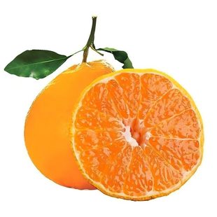 四川春见耙耙丑橘耙耙柑柑橘子甜新鲜汁水果当季整箱杷杷丑橘年货