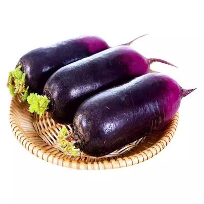 潍坊紫美人水果冰淇淋萝卜甜脆