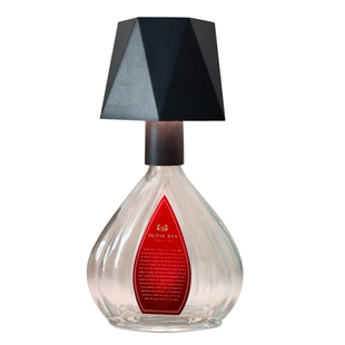 led酒瓶台灯酒头灯酒吧清吧咖啡厅氛围灯KTV氛围台灯花苞小夜灯