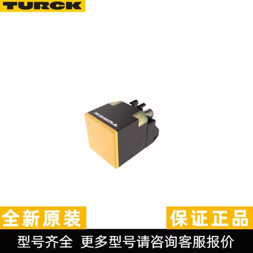 议价原装现货TURCK图尔克 NI25U-CK40-AP6X2-H1141 电感式传感器