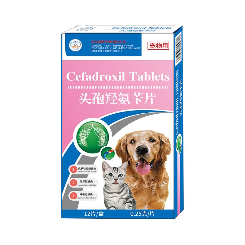 宠物头孢羟氨苄狗狗猫咪皮肤病消炎药宠物尿路感染外伤消炎口服片