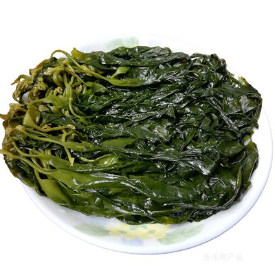 特级新鲜霞浦烫三秒1斤包邮海带