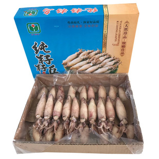 海兔子满籽籽乌笔管鱼乌贼个个带籽鲜活蒸熟冷冻海鲜水产礼盒装