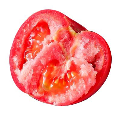 普罗旺斯西红柿苗沙瓤易活阳台