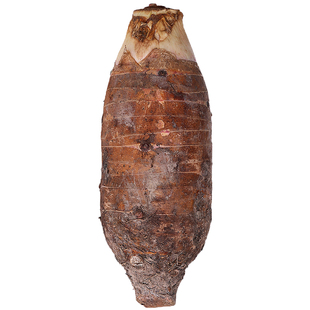 正宗广东韶关乐昌张溪香芋 广东特产现挖蔬菜炮弹槟榔芋小毛芋头