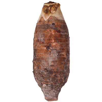 正宗广东韶关乐昌张溪槟榔芋香芋