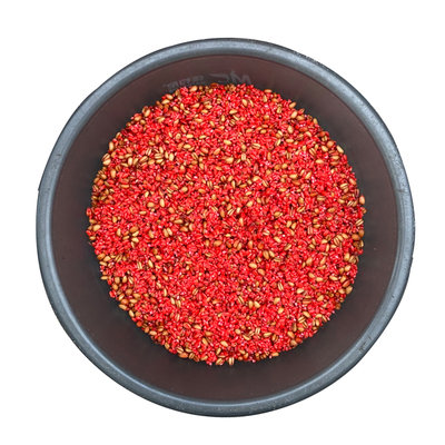 自制野钓大米秋冬季鲫鱼鲤鱼