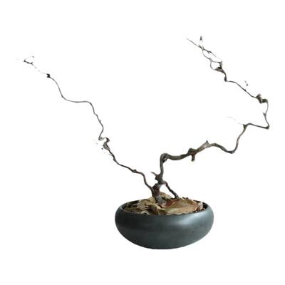 龙枣枝中式插花枯枝摆件干枝