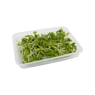 芝麻苗1盒可食用芽苗菜千宝苗新鲜蔬菜冷盘西餐摆盘装饰点缀