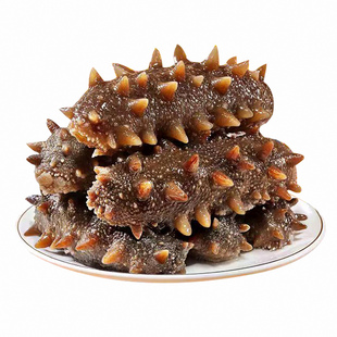 大连即食海参官方旗舰店野生鲜活辽参新鲜刺参一斤独立包装袋礼盒