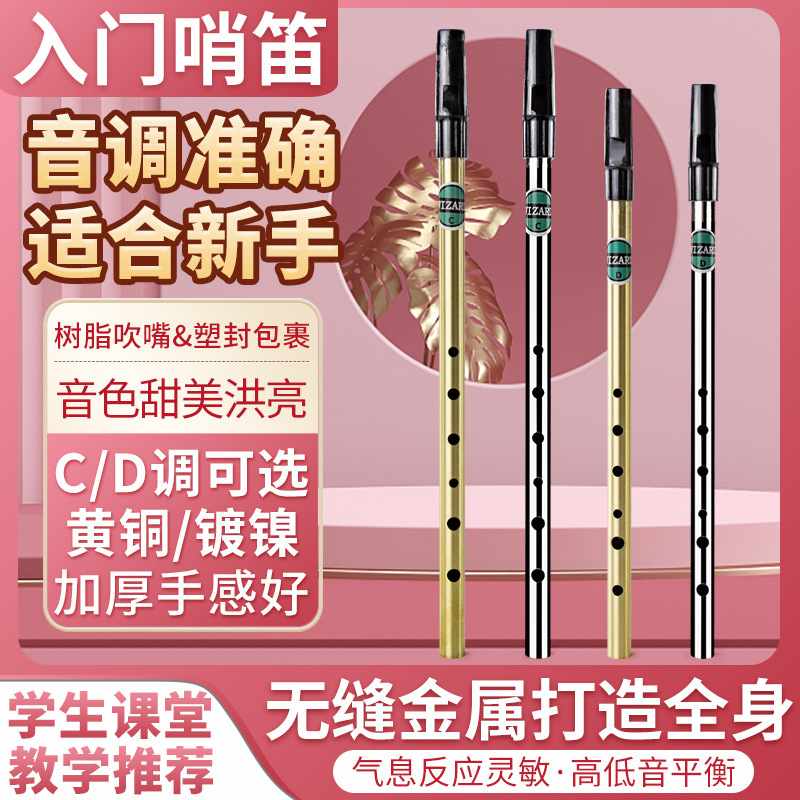 Geipel 爱尔兰哨笛 初学者入门金属哨笛 6孔C调D调高音金属竖笛