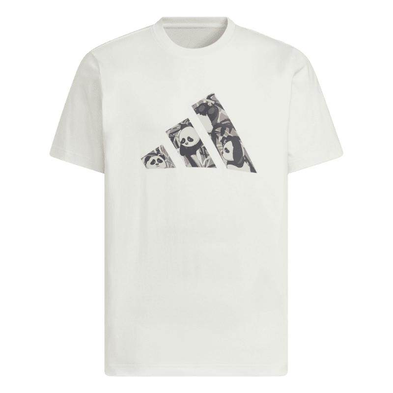 �ۻ��㣺���ϴ�˹�д����˶�Բ�����T��