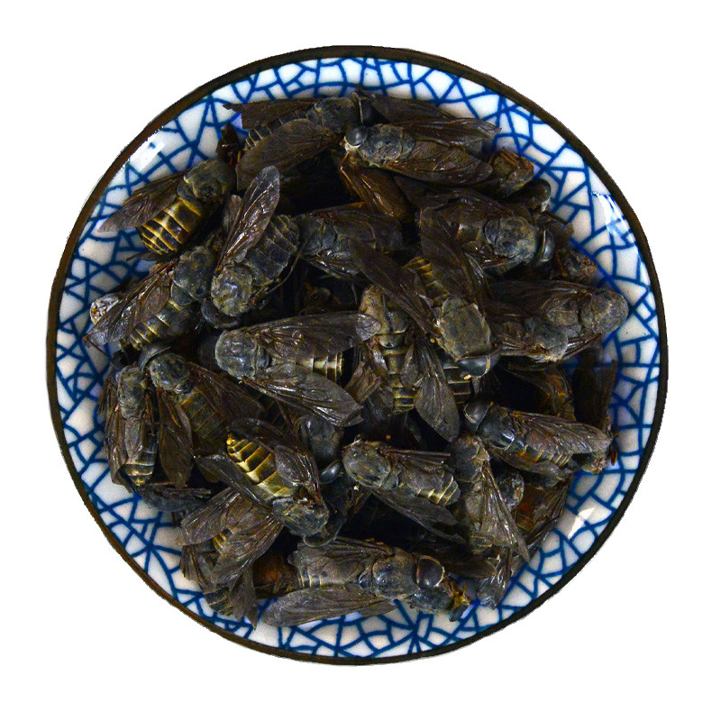 牛虻虫中药材正品牛虻虫粉牛苍蝇