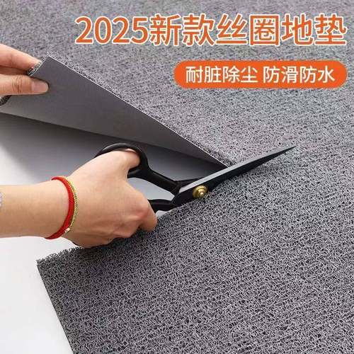 自由裁剪丝圈货车脚垫电动车用地垫入户门垫家用圈丝地毯防水进门