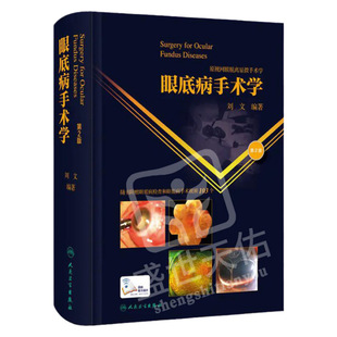 眼底病手术学 第2二版 刘文 原视网膜脱离显微手术学眼科书籍眼科学眼视光学专业医生门诊笔记实用图谱图解疾病人民卫生出版社正版