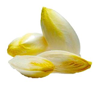 金玉兰菜新鲜芽球软化菊苣凉菜沙拉酒店特采配菜生吃即食京东顺丰