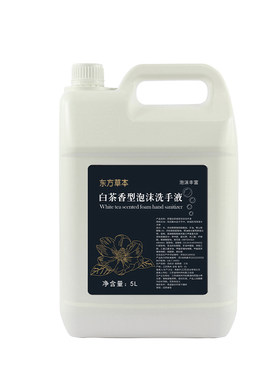 东方草本清洁泡沫洗手液补充装