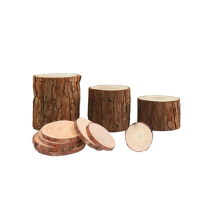 苔藓微景观造景装饰品原木头木桩木片小摆件托盘拍摄道具桌面摆件