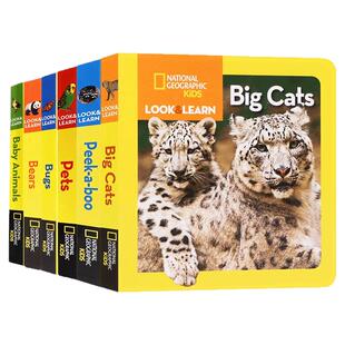 美国国家地理看与学系列6册组合英文原版绘本Look and Learn /蝴蝶孵化/宠物/熊/猫科动物/偷偷看/动物宝宝儿童英语启蒙认知纸板书