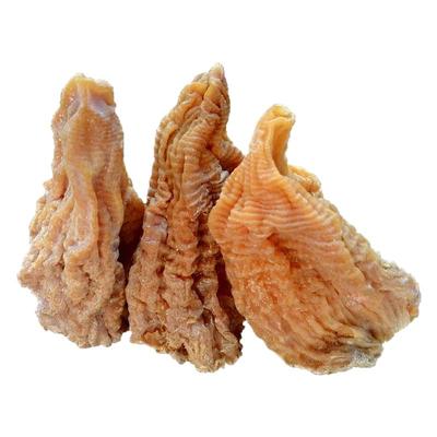 嫩冬笋笋尖毛竹笋干农家自制野生