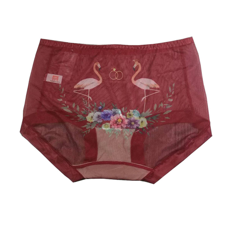 正品富妮来网纱平角女士内裤薄款透明透气柔软性感提臀后印花中腰