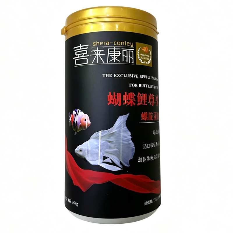 喜来康丽台湾蝴蝶鲤鱼