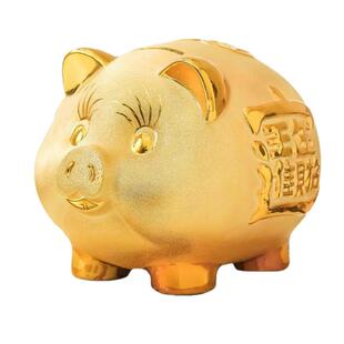 陶瓷存钱罐金猪网红儿童可取大号高颜值只进不出儿童压岁钱储蓄罐