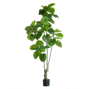 侘寂风仿生绿植仿真植物心叶榕室内客厅落地盆栽简约装饰摆件盆景