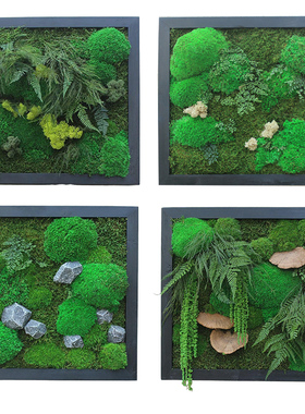 进口永生苔藓装饰挂画苔藓挂画墙面绿植背景民宿酒店门店软装饰品