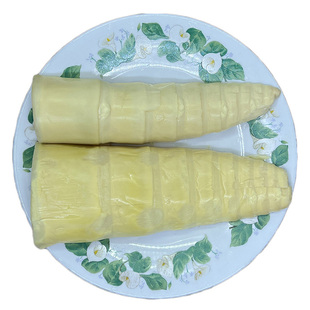 骆姨坑鲜笋尾笋尖清远特产野生鲜嫩笋片丝清水火锅餐饮酒楼农庄菜