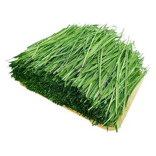 提摩西烘干北提兔子草段小宠专用饲料龙猫苜蓿干草豚鼠蒲公英草料