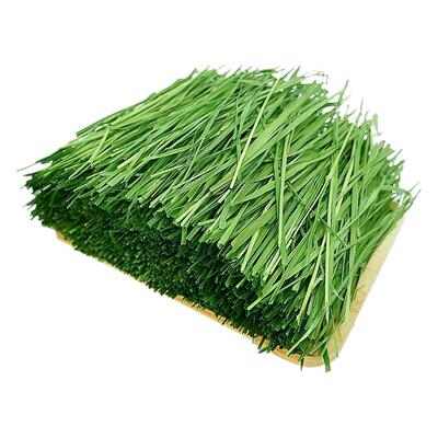 提摩西烘干北提兔子草段小宠专用