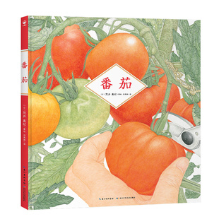 【BIB金苹果奖得主荒井真纪新作】诺贝尔科学馆：番茄 精装 3-6-9岁儿童蔬菜科普小学生一二三年级自然植物观察绘本草莓郁金香作者