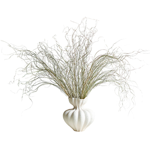 天然绿色细叶芒草干花花束配草垂下来的花客厅软装搭配设计蒲苇草