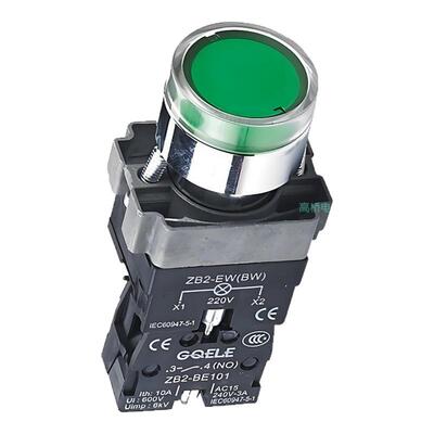 高桥牌金属按钮GXB2-BW3361带灯