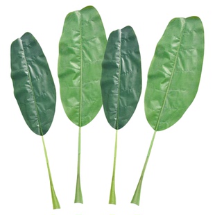 仿真大芭蕉叶过胶叶子香蕉叶小树叶绿叶装饰花植物针葵叶舞蹈道具