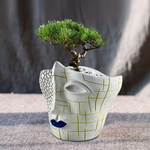 跨境新品创意人脸裂纹抽象盆栽容器花盆植物工艺树脂园艺摆件家居