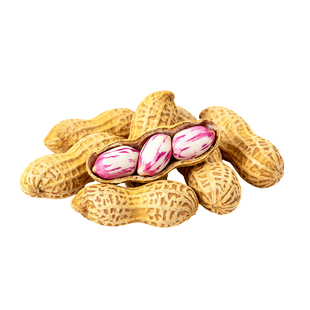 【商超品质】2025新货云南七彩花生野地花生种植批发年货零食营养