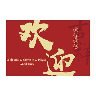 入户进门口地垫脚踩垫子丝圈除尘地毯入户门门外门垫进门防滑脚垫